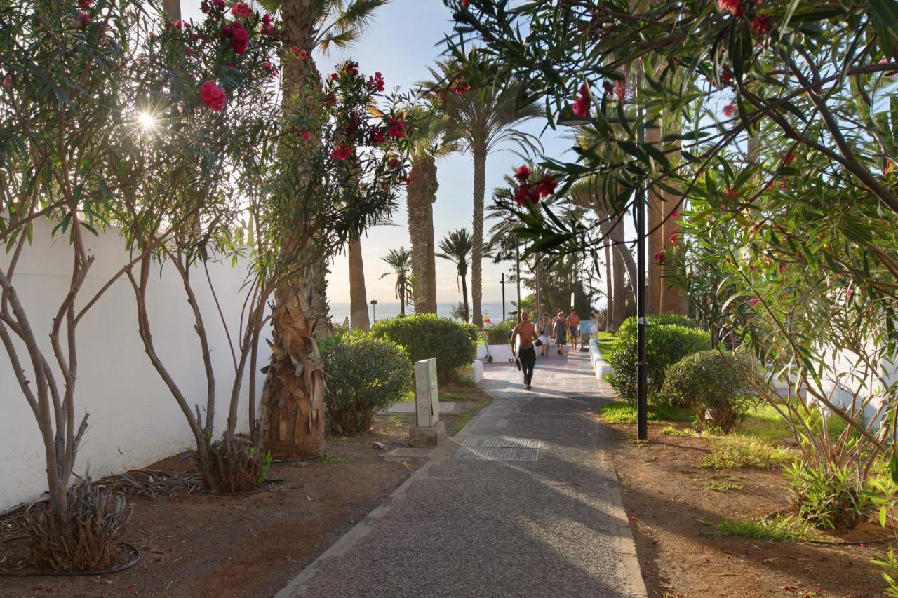 Apartment At 30 Mts From Sea プラヤ・デ・ラス・アメリカス エクステリア 写真